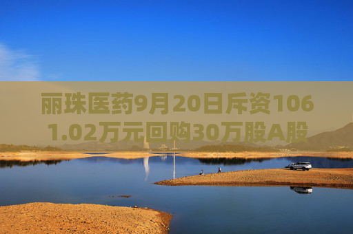 丽珠医药9月20日斥资1061.02万元回购30万股A股