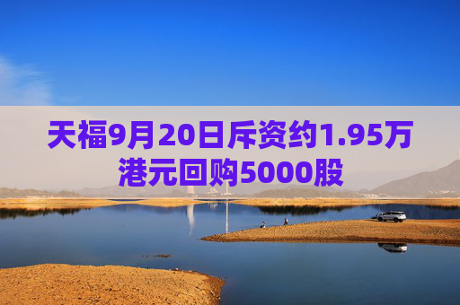 天福9月20日斥资约1.95万港元回购5000股