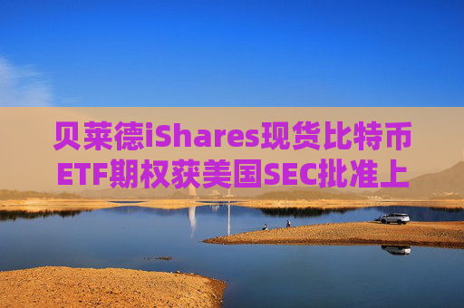 贝莱德iShares现货比特币ETF期权获美国SEC批准上市