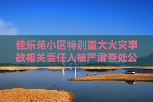 佳乐苑小区特别重大火灾事故相关责任人被严肃查处公安机关对10名涉案人员立案侦查纪检监察机关严肃问责55名公职人员