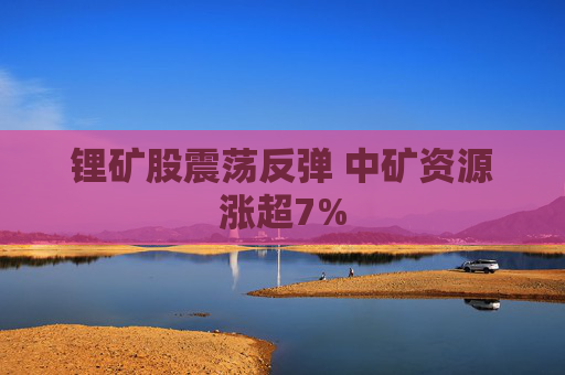 锂矿股震荡反弹 中矿资源涨超7%