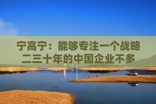 宁高宁：能够专注一个战略二三十年的中国企业不多