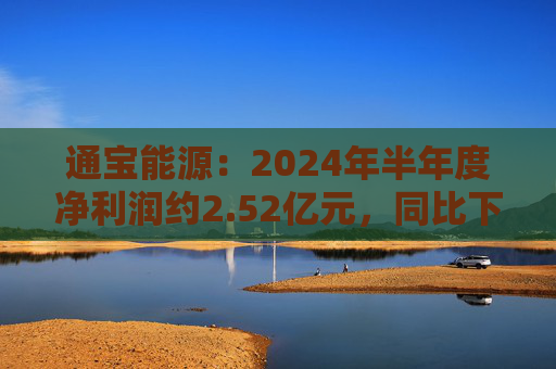 通宝能源：2024年半年度净利润约2.52亿元，同比下降36.49%