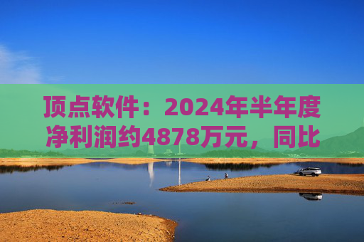 顶点软件：2024年半年度净利润约4878万元，同比下降21.11%