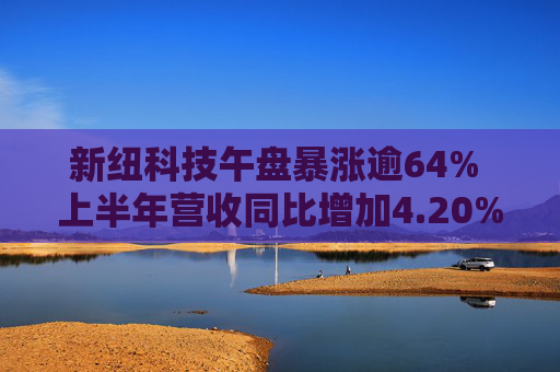 新纽科技午盘暴涨逾64% 上半年营收同比增加4.20%