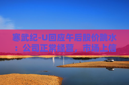 寒武纪-U回应午后股价跳水：公司正常经营，市场上信息比较多，不确定来源