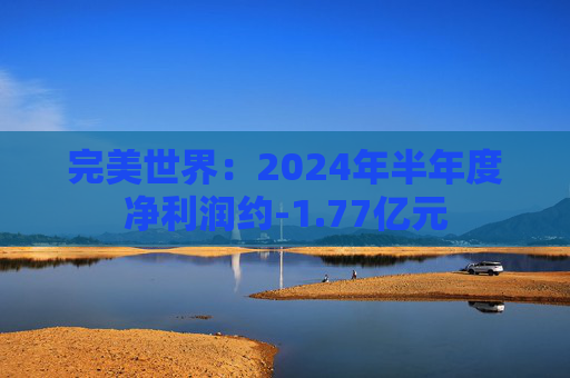 完美世界：2024年半年度净利润约-1.77亿元