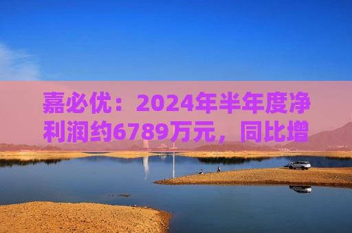 嘉必优：2024年半年度净利润约6789万元，同比增加94.82%