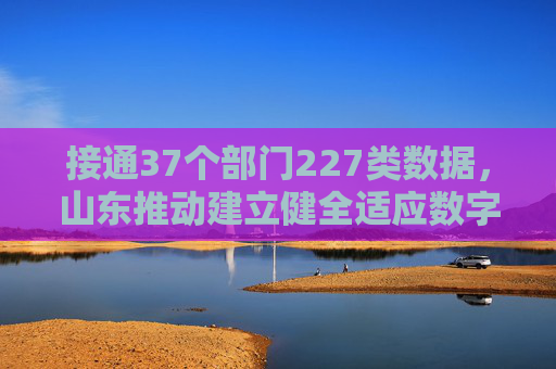 接通37个部门227类数据，山东推动建立健全适应数字经济发展的金融服务体系