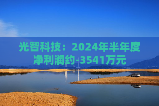 光智科技：2024年半年度净利润约-3541万元