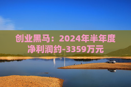 创业黑马：2024年半年度净利润约-3359万元