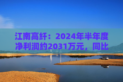 江南高纤：2024年半年度净利润约2031万元，同比下降8.66%