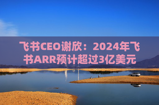 飞书CEO谢欣：2024年飞书ARR预计超过3亿美元