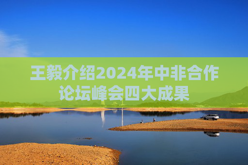 王毅介绍2024年中非合作论坛峰会四大成果