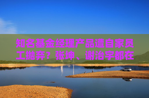 知名基金经理产品遭自家员工抛弃？张坤、谢治宇都在列，员工偏好变了？