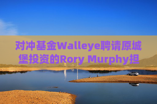 对冲基金Walleye聘请原城堡投资的Rory Murphy担任资本市场主管