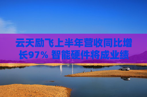 云天励飞上半年营收同比增长97% 智能硬件将成业绩新增长点