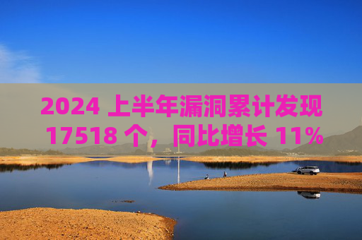 2024 上半年漏洞累计发现 17518 个，同比增长 11%