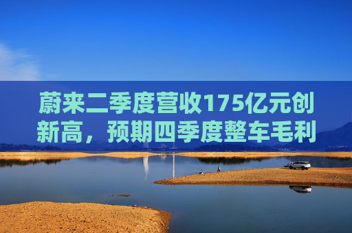 蔚来二季度营收175亿元创新高，预期四季度整车毛利率15%