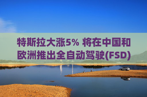 特斯拉大涨5% 将在中国和欧洲推出全自动驾驶(FSD)系统