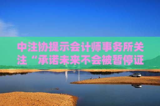 中注协提示会计师事务所关注“承诺未来不会被暂停证券业务资格”的风险