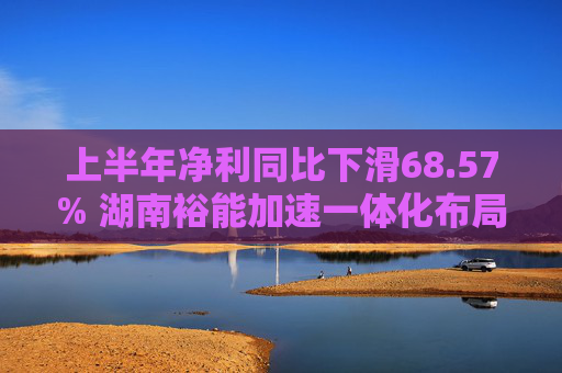 上半年净利同比下滑68.57% 湖南裕能加速一体化布局