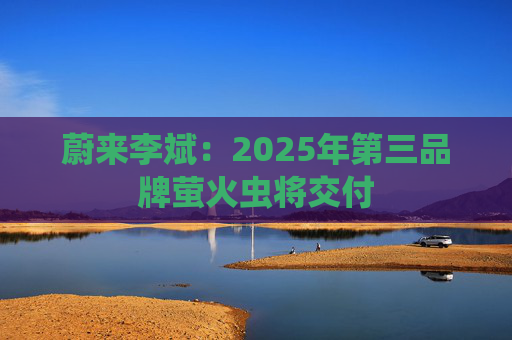 蔚来李斌：2025年第三品牌萤火虫将交付