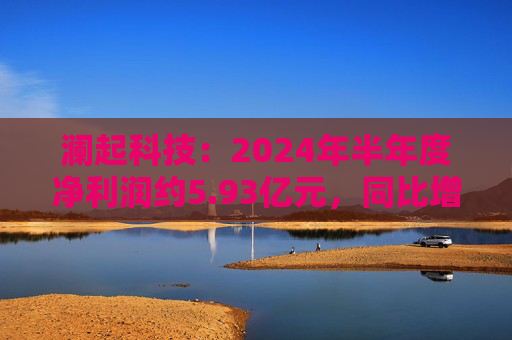 澜起科技：2024年半年度净利润约5.93亿元，同比增加624.63%