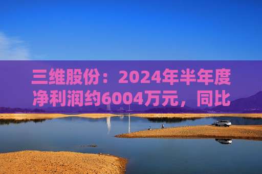 三维股份：2024年半年度净利润约6004万元，同比下降48.08%