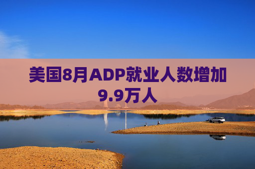 美国8月ADP就业人数增加9.9万人