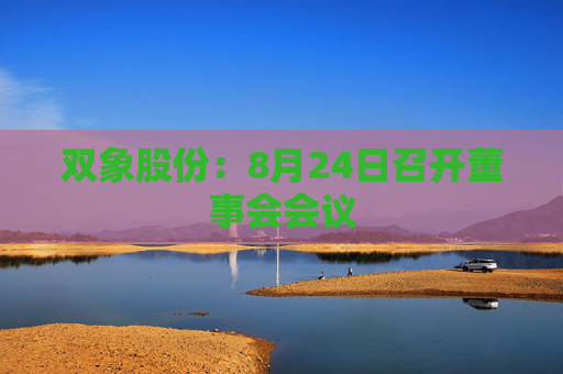 双象股份：8月24日召开董事会会议