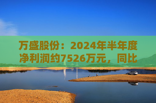 万盛股份：2024年半年度净利润约7526万元，同比下降34.94%