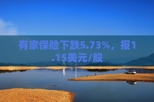 有家保险下跌5.73%，报1.15美元/股