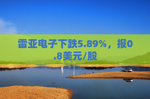 雷亚电子下跌5.89%，报0.8美元/股