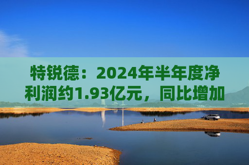 特锐德：2024年半年度净利润约1.93亿元，同比增加105.26%