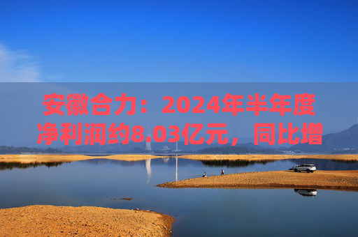 安徽合力：2024年半年度净利润约8.03亿元，同比增加22%