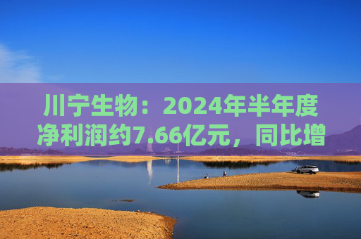 川宁生物：2024年半年度净利润约7.66亿元，同比增加96.05%