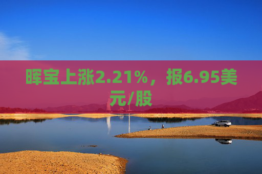 晖宝上涨2.21%，报6.95美元/股