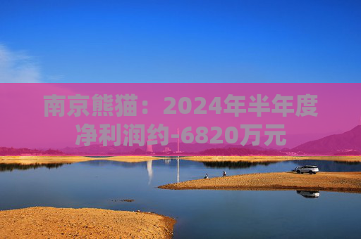 南京熊猫：2024年半年度净利润约-6820万元