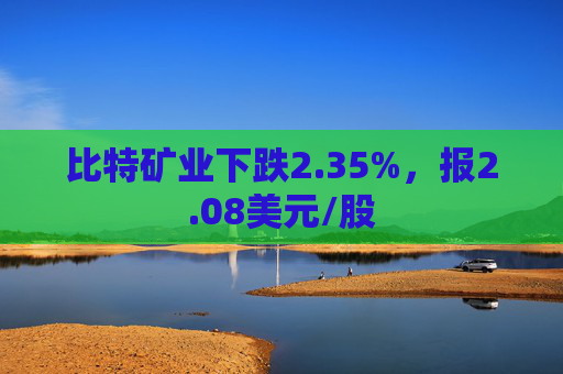 比特矿业下跌2.35%，报2.08美元/股