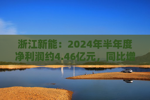 浙江新能：2024年半年度净利润约4.46亿元，同比增加49.92%