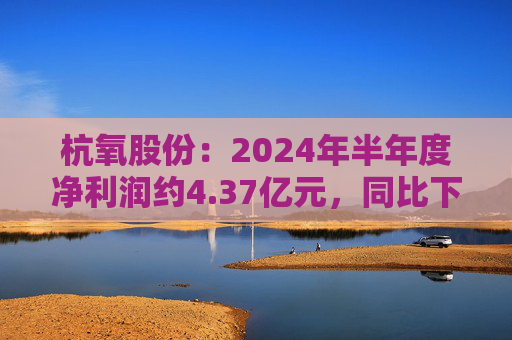 杭氧股份：2024年半年度净利润约4.37亿元，同比下降16.76%