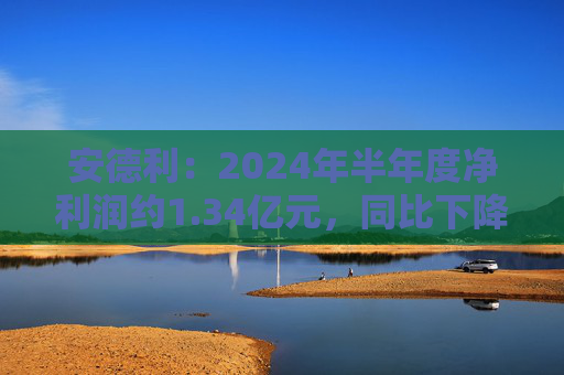 安德利：2024年半年度净利润约1.34亿元，同比下降18.18%