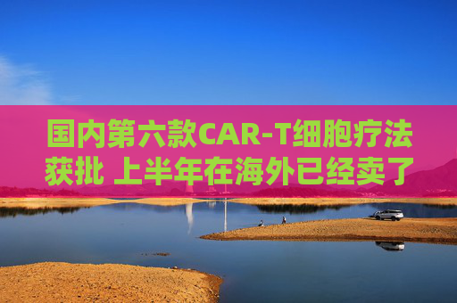 国内第六款CAR-T细胞疗法获批 上半年在海外已经卖了超3亿美元