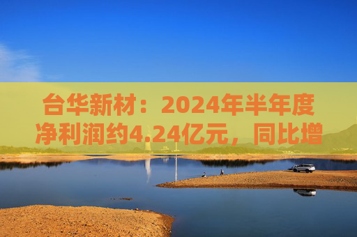 台华新材：2024年半年度净利润约4.24亿元，同比增加131.53%