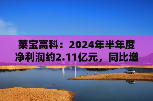 莱宝高科：2024年半年度净利润约2.11亿元，同比增加6.82%