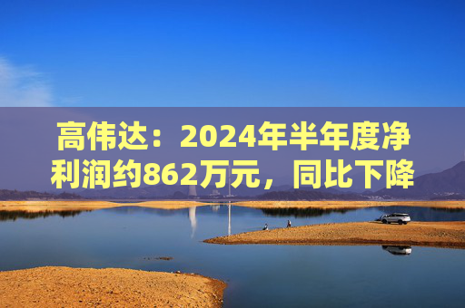 高伟达：2024年半年度净利润约862万元，同比下降41.41%