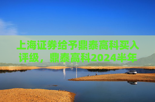 上海证券给予鼎泰高科买入评级，鼎泰高科2024半年报点评：Q2经营显著改善，新兴业务势能强劲