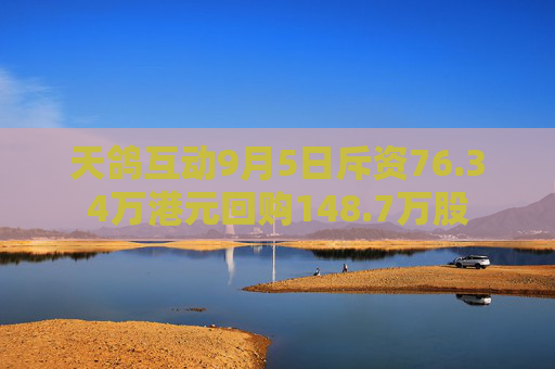 天鸽互动9月5日斥资76.34万港元回购148.7万股