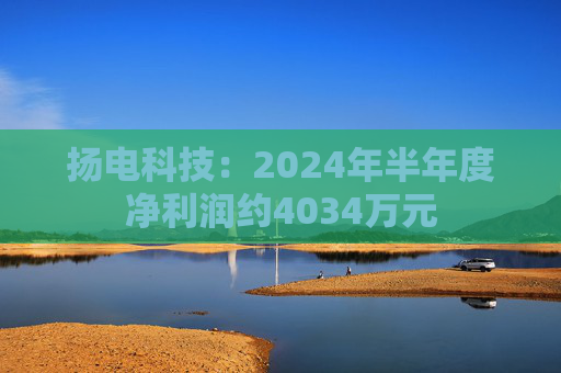 扬电科技：2024年半年度净利润约4034万元